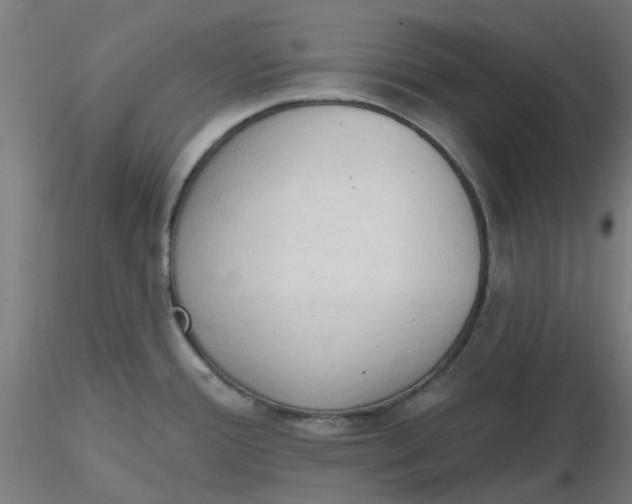 X0000116511388200912231224