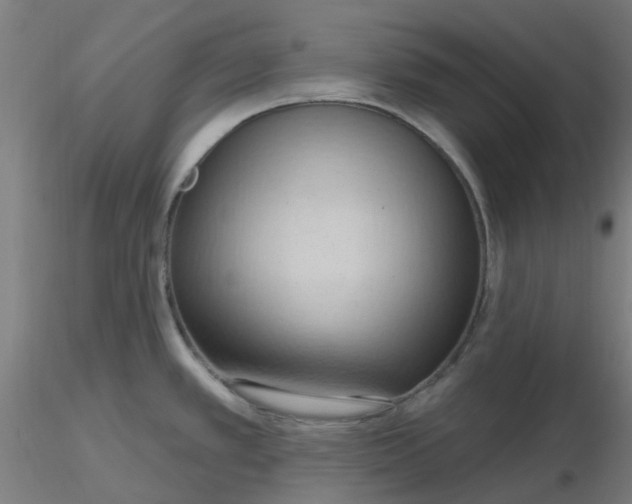 X0000116511389200912231224