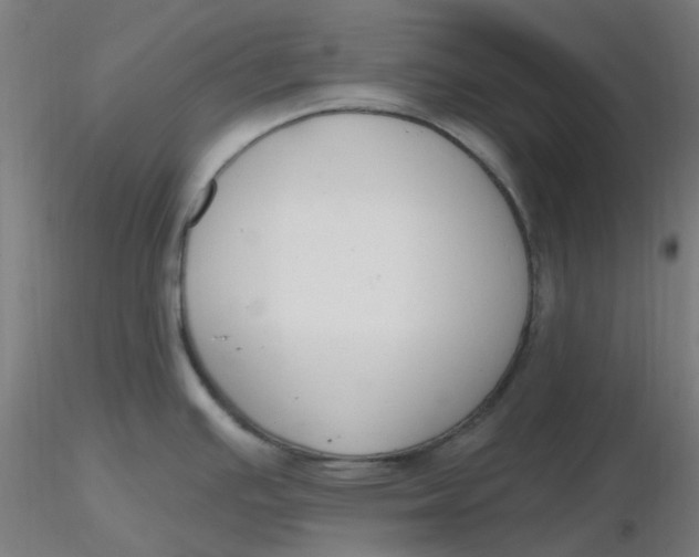 X0000116511391200912231224