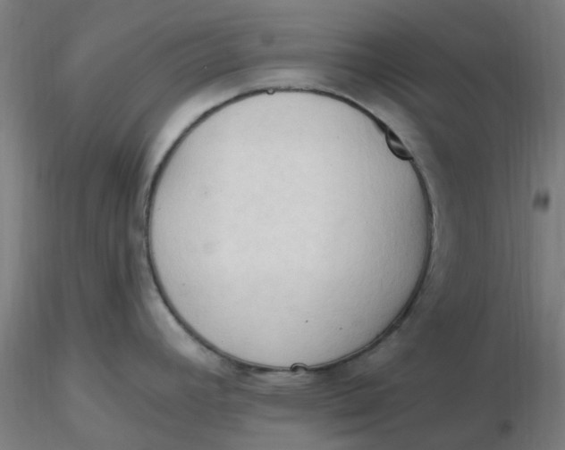 X0000116511392200912231224