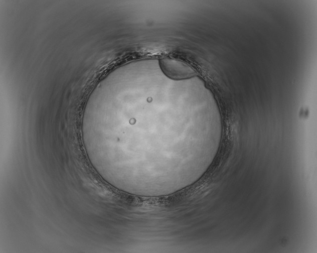 X0000116511393200912231223