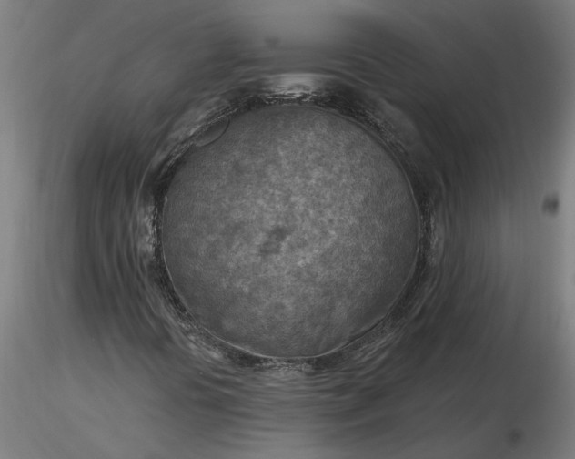 X0000116511394200912231223