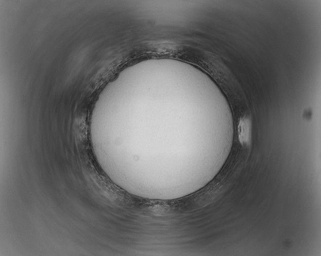 X0000116511395200912231223