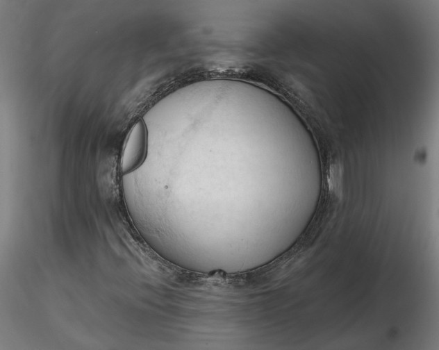 X0000116511396200912231223