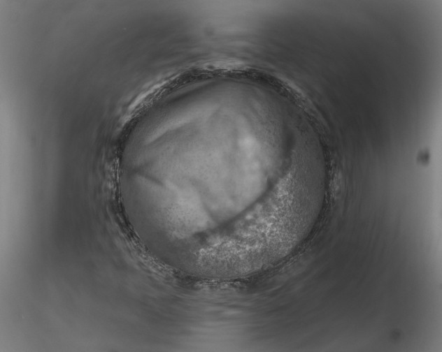 X0000116511397200912231223