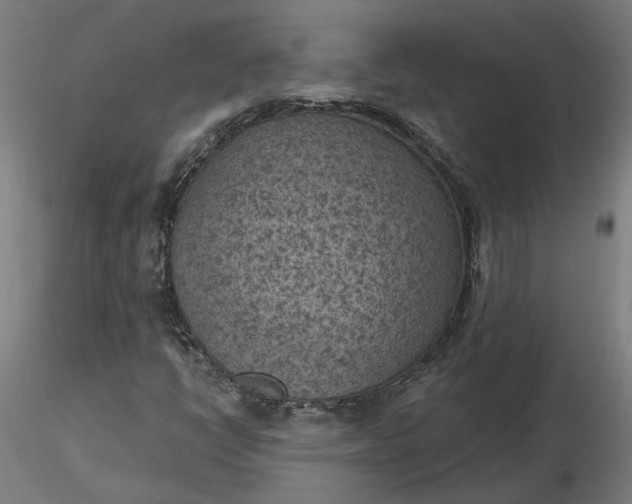 X0000116511398200912231223