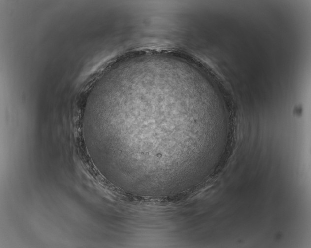 X0000116511399200912231223