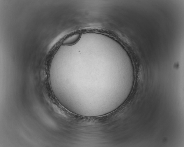 X0000116511400200912231223