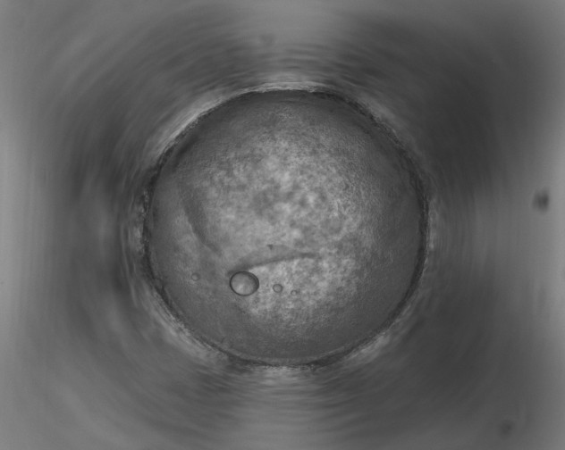 X0000116511401200912231223