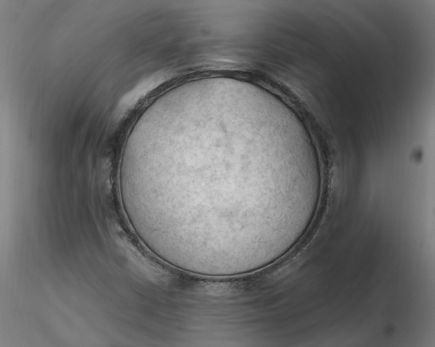 X0000116511402200912231223