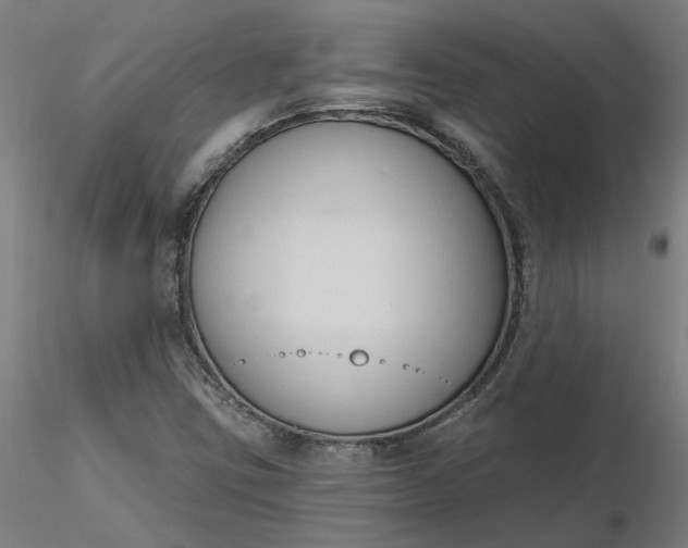 X0000116511403200912231224