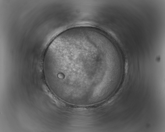 X0000116511405200912231224