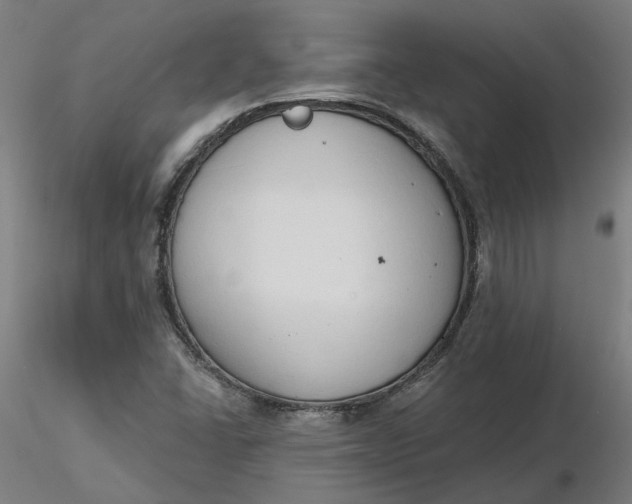 X0000116511406200912231224