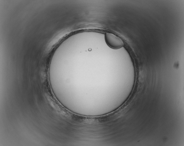 X0000116511407200912231224