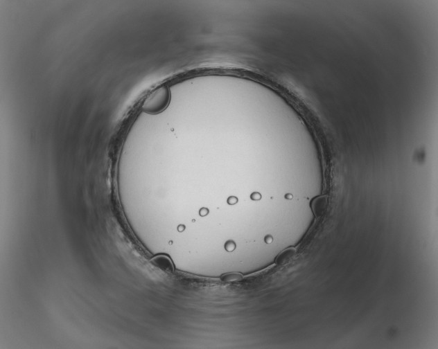 X0000116511408200912231224