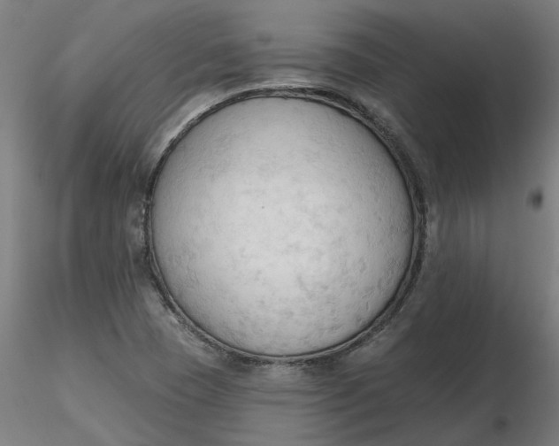 X0000116511409200912231224