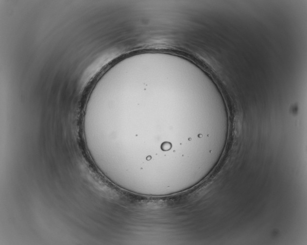 X0000116511410200912231224