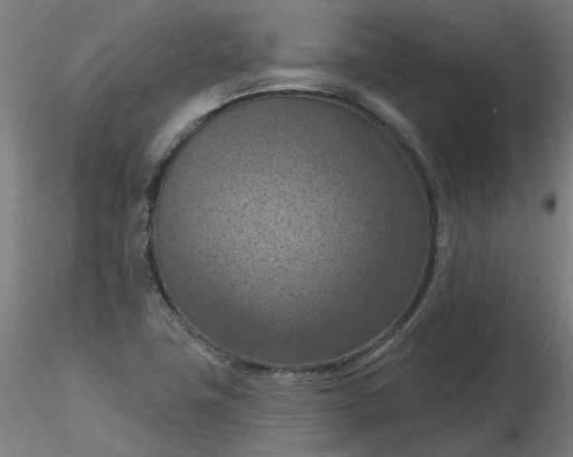 X0000116511411200912231224