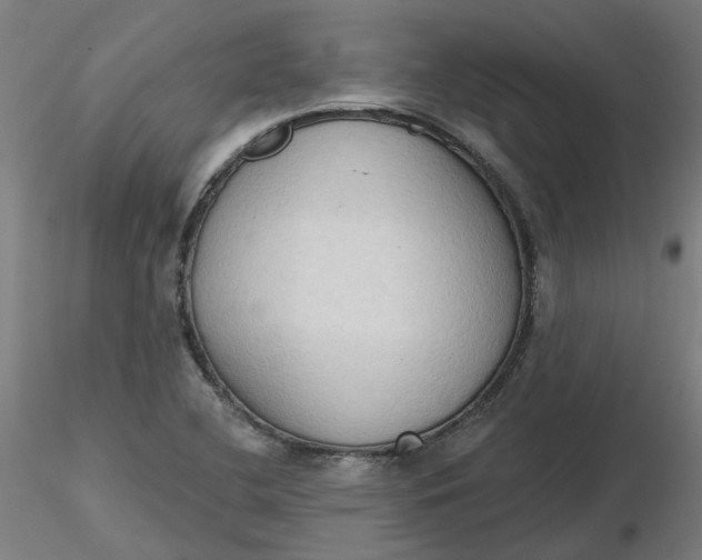 X0000116511412200912231224