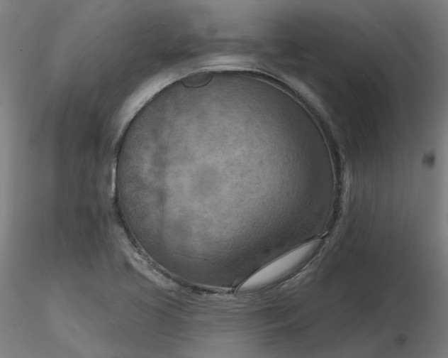 X0000116511413200912231224