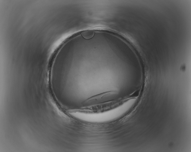 X0000116511414200912231224