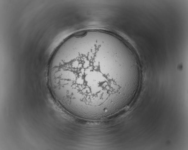 X0000116511415200912231224