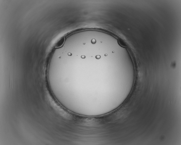 X0000116511416200912231224