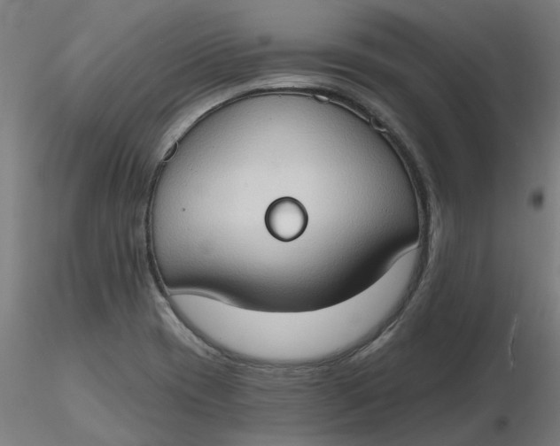 X0000116511417200912231224