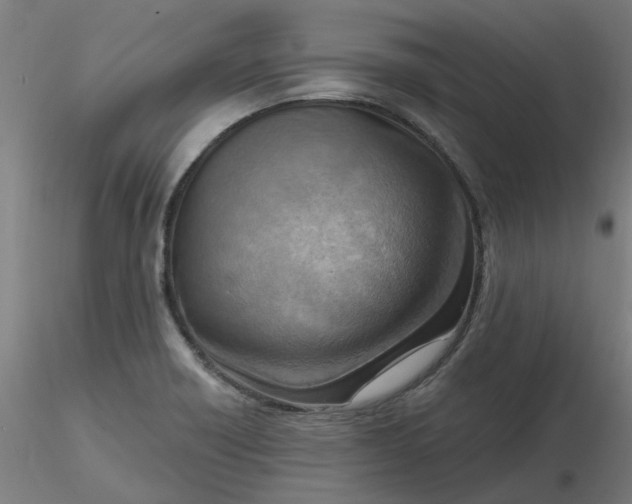 X0000116511418200912231224