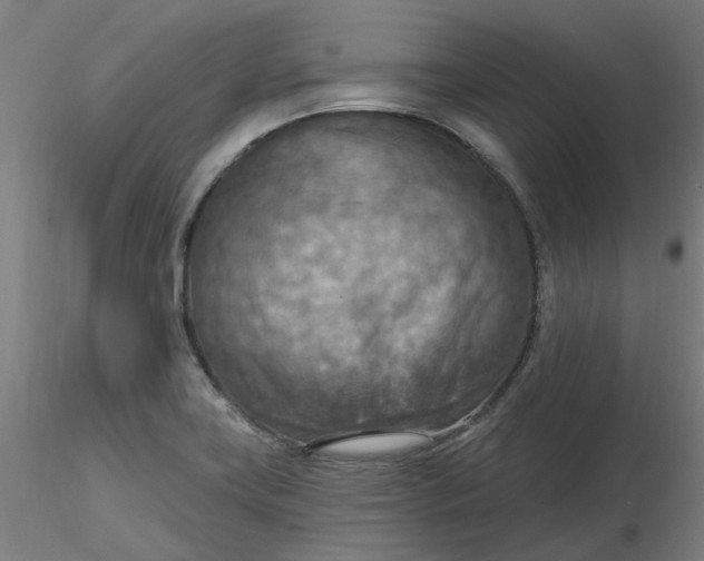 X0000116511419200912231224