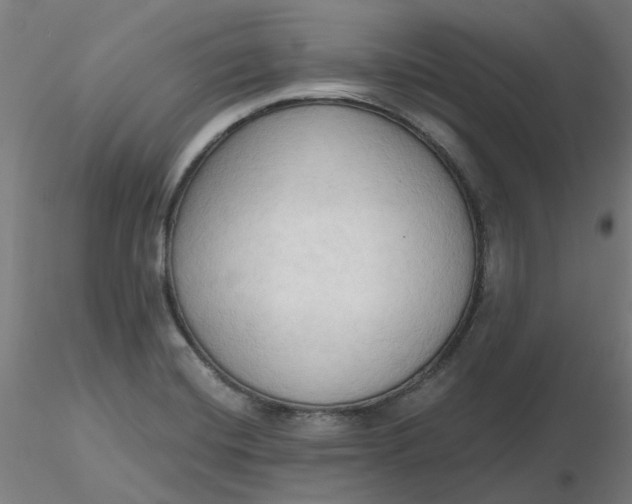 X0000116511420200912231224