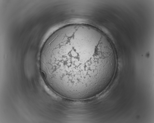 X0000116511421200912231224