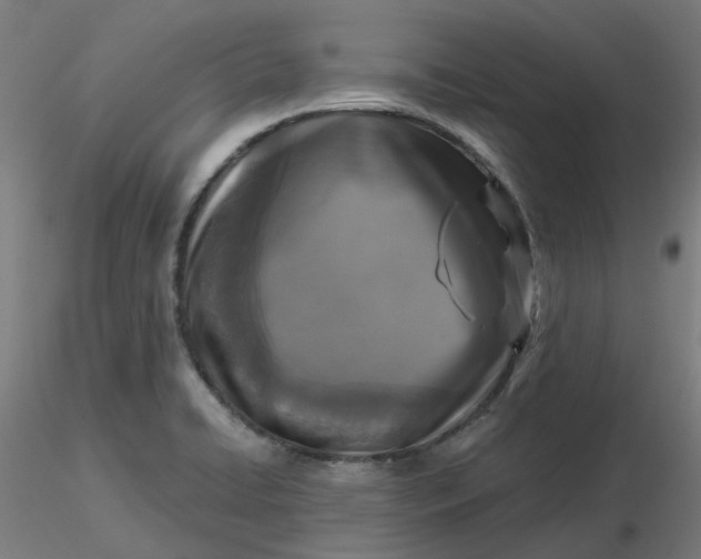 X0000116511422200912231224