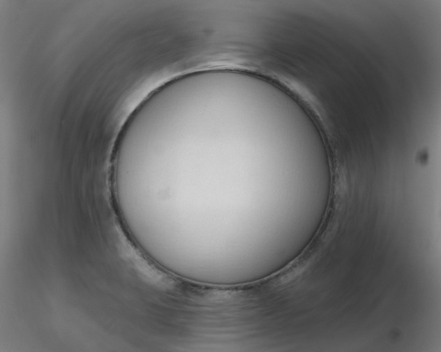 X0000116511423200912231224