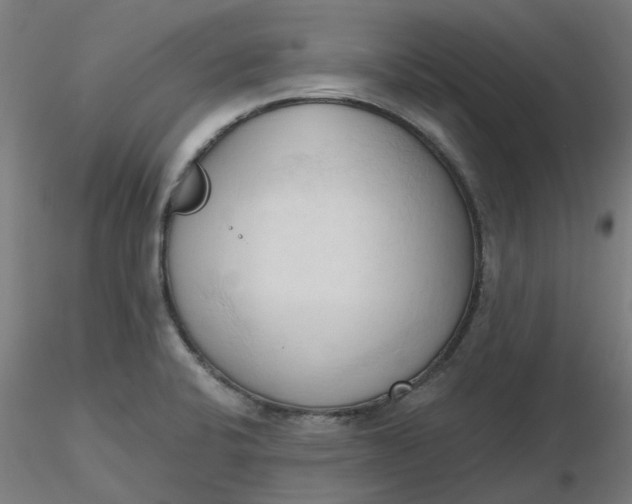 X0000116511424200912231224