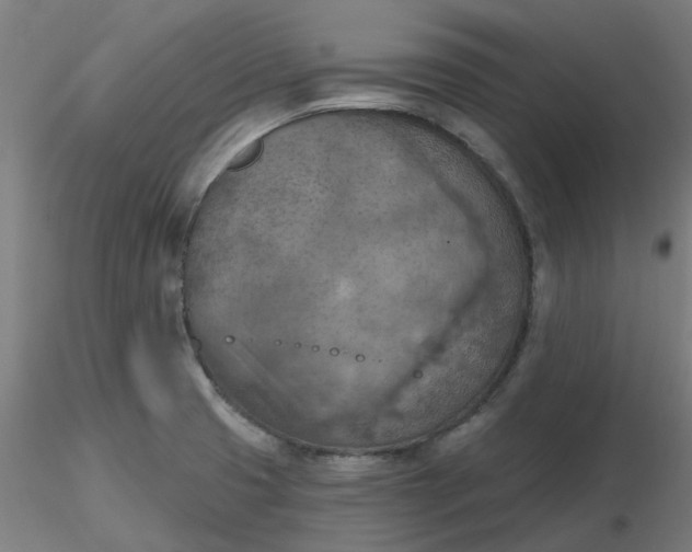 X0000116511425200912231224