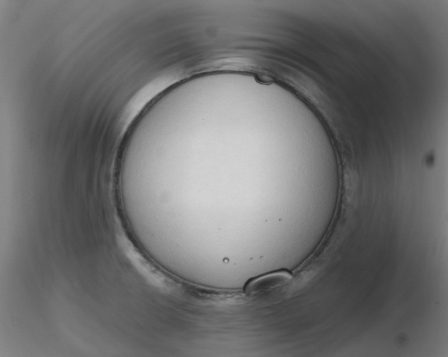 X0000116511426200912231224