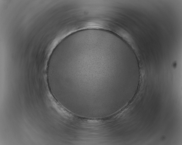 X0000116511427200912231224