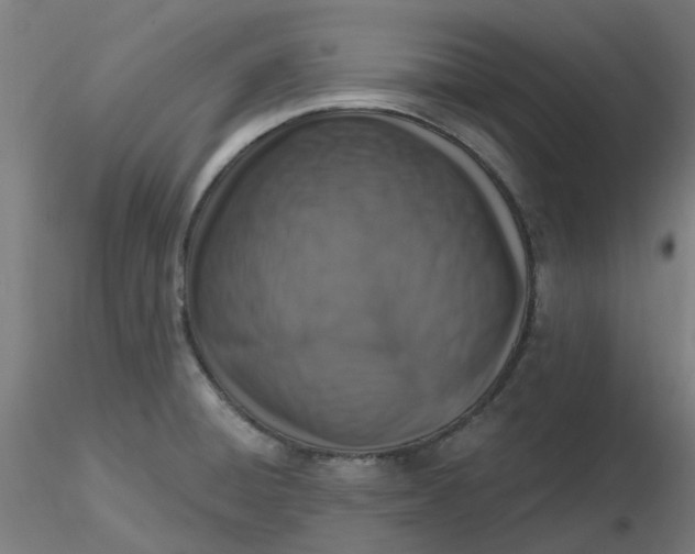 X0000116511428200912231224