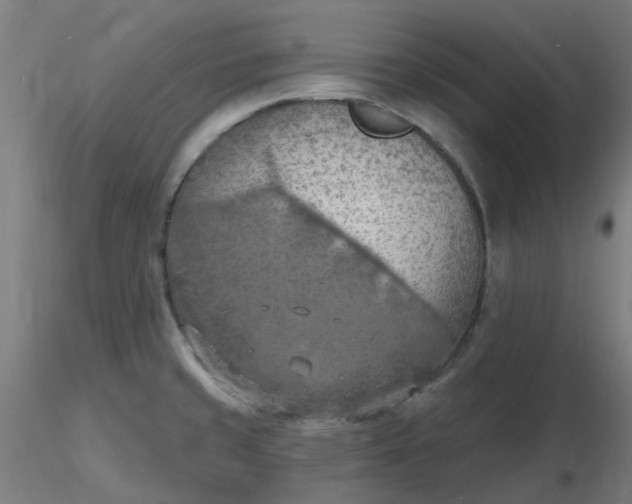 X0000116511429200912231224