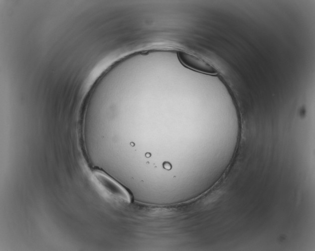 X0000116511430200912231224