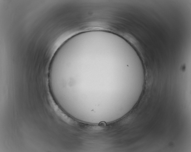 X0000116511431200912231224