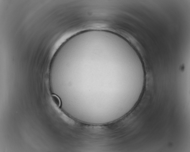 X0000116511432200912231224