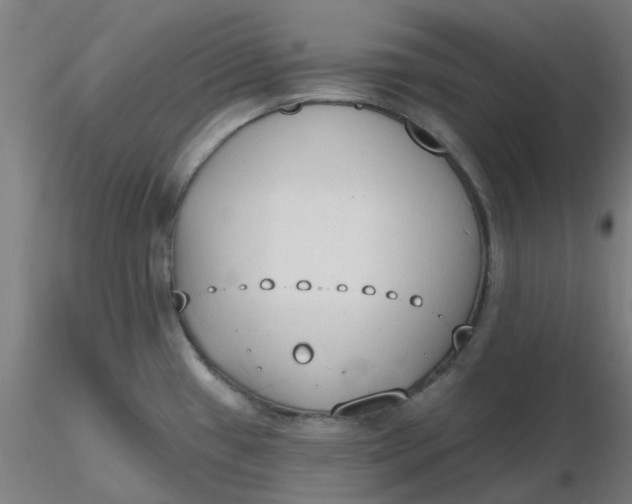 X0000116511433200912231224