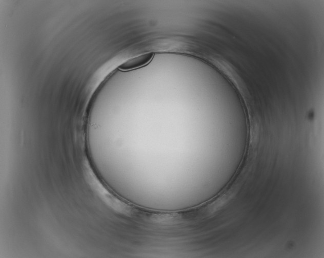 X0000116511434200912231224