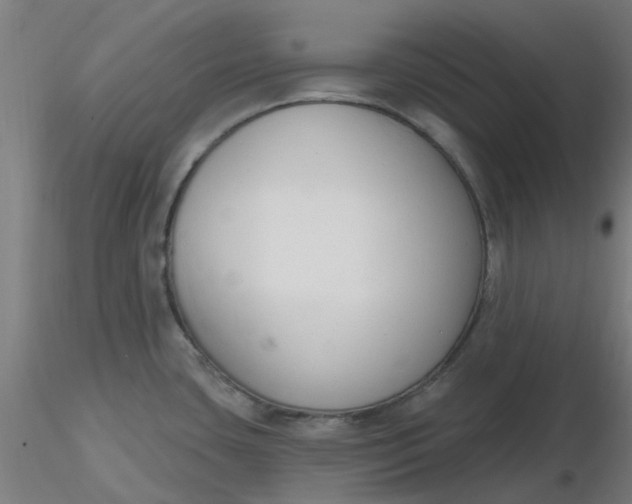 X0000116511435200912231224