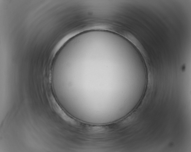 X0000116511436200912231224