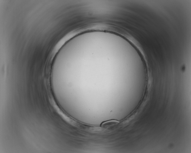 X0000116511437200912231224