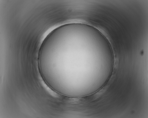 X0000116511438200912231224