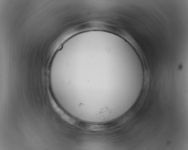 X0000116511439200912231224